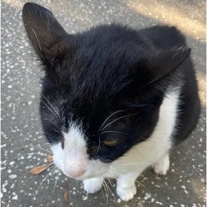 Meet your Posher, Kasey